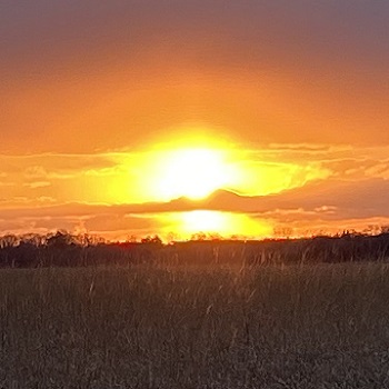 Zoom Back Drop Thumbnail