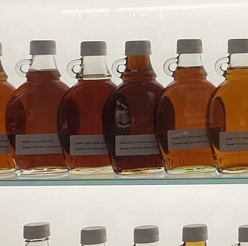 Zoom Back Drop Thumbnail