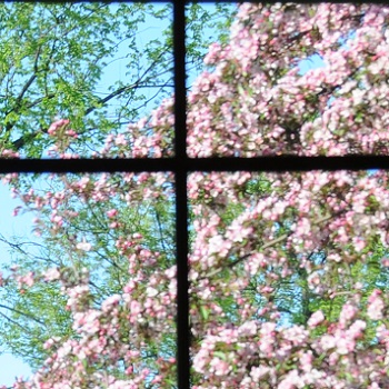 Zoom Back Drop Thumbnail